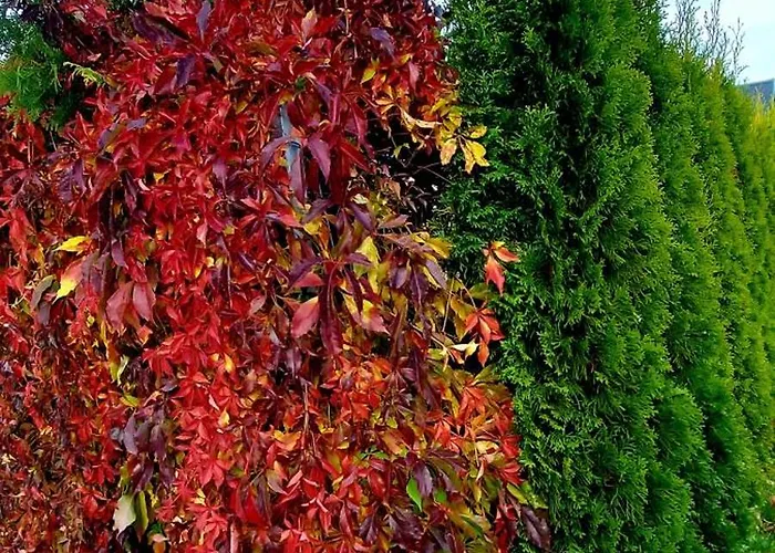 Corden Village ロッジ